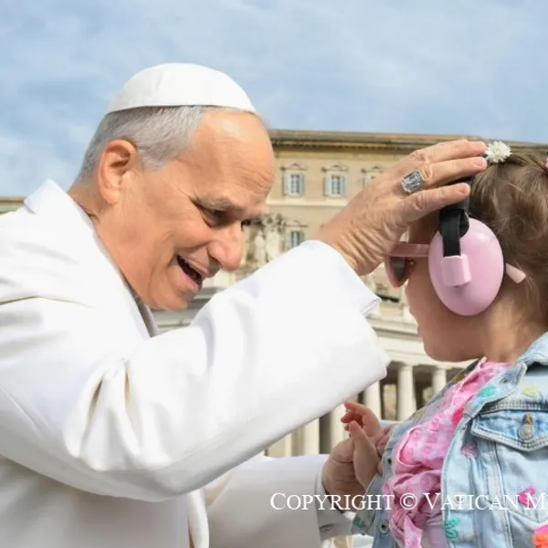 Catequesis - Los Documentos del Concilio Vaticano II - II. Constitución dogmática Lumen gentium. 6. Piedras vivas en la Iglesia y testigos en el mundo: los laicos en el pueblo de Dios